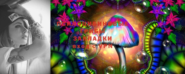 прущие крисы Богородицк