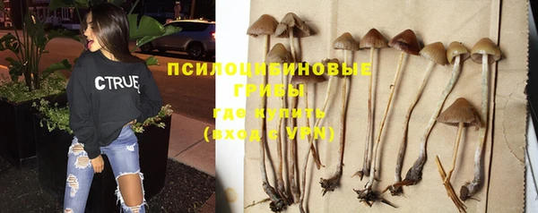 COCAINE Богданович